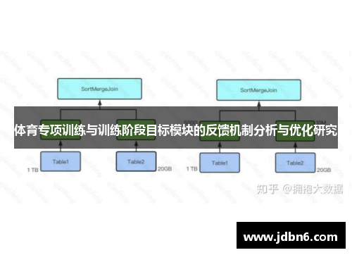 体育专项训练与训练阶段目标模块的反馈机制分析与优化研究